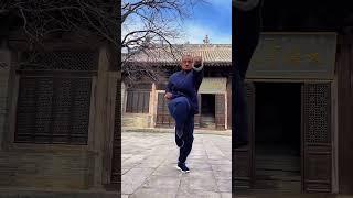 少林武僧展示連環拳，帶妳領略少林功夫的魅力#kungfu #shaolin #shorts