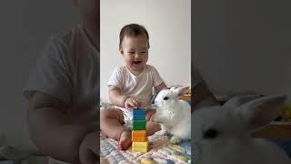 When Human Babies Meet Animal Babies #baby #cute