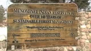 A Working Forest Trailer