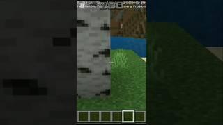 Minecraft funny video iron gold subscribe (Asad Gaming)