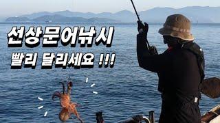 Catch, cook, and eat a delicious octopus! (Korean Fishing)