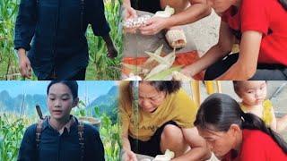 girl go harvest or corn field to market to sell    Lý Phúc ca 