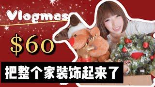 如何用$60布置圣诞 Christmas home decoration, 澳洲生活 Vlog