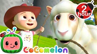 Ba Ba Black Sheep (2024 Version)  CoComelon - Nursery Rhymes and Kids Songs | After School Club