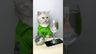 Glass + phone = hologram? #shorts #cuddleclawshow #lifehacks #funny #foryou #catchef #cats