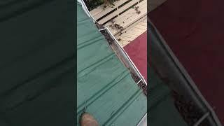 Documenting metal roof damage 10   26'x3' panels