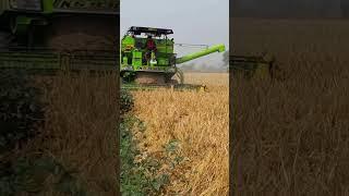 KS combine harvester  #youtubeshorts #short #viral #harvester #Preet