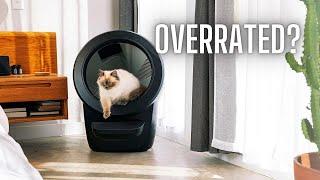 I bought the Litter robot 4. (So you don't have to.)