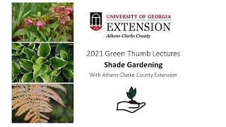 Shade Gardening with and Athens-Area Master Gardener