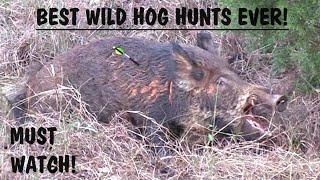 20 KILLSHOTS IN 20 MINUTES!  WILD HOG HUNTING!