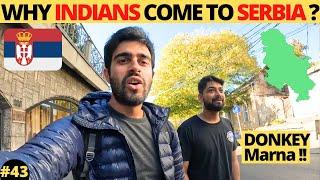 First Day in Belgrade I Why Indians come to Serbia ? 