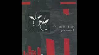 The Black Heart Procession - 1903-1918 Innocence-A Boy With No Tonge (Audio)