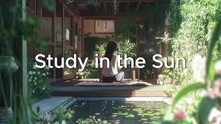 Focused Terrace Study in the Sun - Chill Hip Hop Lofi Beats