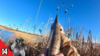 SOLO Afternoon Duck Hunt Migration Day Mallards | Duck Hunting 2025