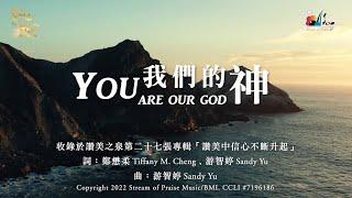 【我們的神 You Are Our God】官方歌詞版MV (Official Lyrics MV) - 讚美之泉敬拜讚美 (27)