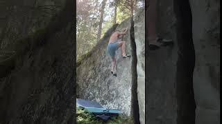 L’Angle Goban. Magic Wood