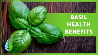 BENEFITS of BASIL SEEDS, LEAVES & ROOTS  (Medicinal Health Properties and Culinary Uses)