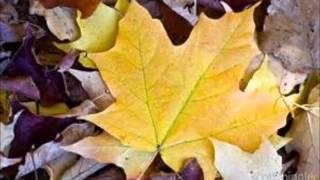 Scott Joplin- Maple Leaf Rag- Marco Fumo, Piano