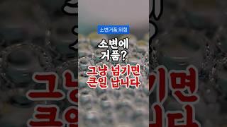 소변에 거품이 많다면? 그냥 넘기면 큰일 납니다 #건강정보 #건강