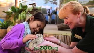 Explore the Sacramento Zoo