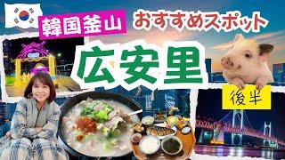 【韓国釜山の日常④】大人気‼️広安里ビーチでロマンティックな夜景を満喫 Byul Bed（ピョンチムデ）/広安海水ワールド/光のフェスタ