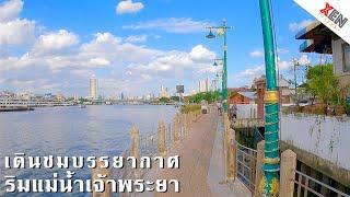 Walk along Chao Phraya riverside pathway, Bangkok | XenTripper