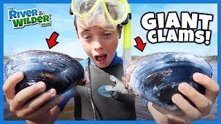 Kids catch GIANT CLAMS and NINJA CRABS?!