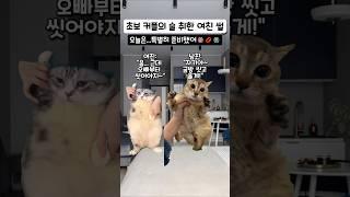 초보커플의 술취한 여친 썰 #해피캣 #고양이밈 #고양이 #cat #웃긴영상 #커플 #pets #animals