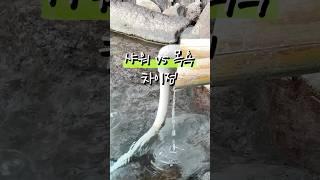 경제크리에이터인 내가 절대 아끼지 않는 1가지