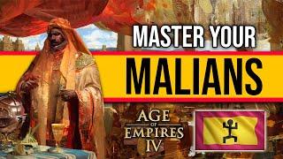 How to Play Malians Like a Pro in AOE4?