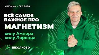 Магнетизм. Сила Ампера, сила Лоренца. Как не сломать руки? | ЕГЭ 2024 по физике