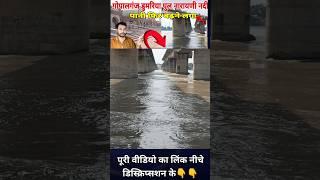 Flood in Bihar: Dumariya Ghat में मंडराया फिर से बाढ़ का खतरा, Narayani river #live