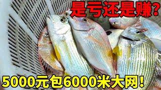 5000块承包6000米渔网！是亏还是赚？