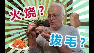 法国家常午餐都吃啥？法国厨师卢克爷爷~做饭时直呼"鸡你太美？"