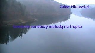 Wędkarstwo gruntowe, Łowienie sandaczy na trupka (przygotowanie zestawu), Pilchowice, Zander Fishing