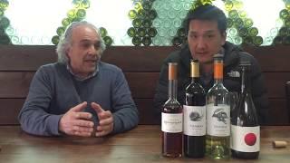 Cyprus Wine: Tasting at Tsiakkas Winery