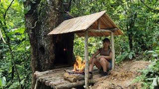 Build a survival shelter, build a shelter in a hollow tree - Wild forest beauty