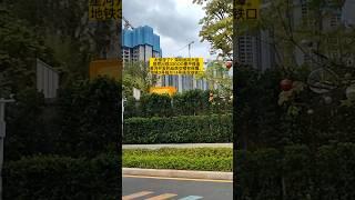 香港人买深圳楼盘，香港人买大湾区楼盘，太惊讶了？深圳龙岗大运居然出现33OOO壹平楼盘，星河开发的品质交楼有保障。地铁3号线与14号线双地铁口 #香港人在大湾区 #香港 #香港新聞 #香港房地产