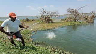 Unbelievable Very Big Fishes Hunting Moments by Professional Fisherman|Incredble Hook Fishing