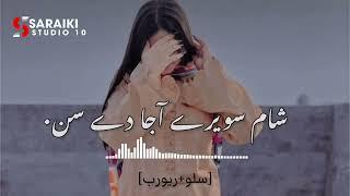 Vigar gai a thory dina to /slow reverb//Saraiki song#viralvideo