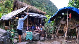 The best way to cook and eat hornet || Eastern Rural Life In Nepal || Nepali organic food