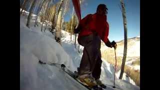 Vail - Mudslide Chute - Tree Skiing