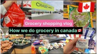 Canada Grocery shopping vlog | Grocery shop with me| Grocery price| Canada vlogs