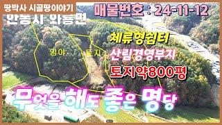 (24. 11. 12) 안동호 상류 밭이 포함된 아담한 임야. 산림관리사 놓고 임산물 재배, 소규모 가축방목 부지로 활용 가능한 임야.