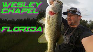 Wesley Chapel FLORIDA FISHING Trip