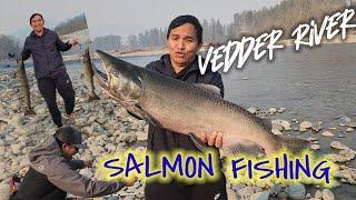 SALMON FISHING|CHILLIWACK VEDDER RIVER 2022