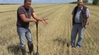 Система No-Till. Успех в Саратовской области. Выгода системы ноу-тилл