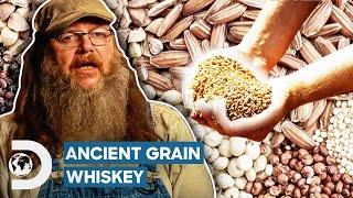 Ancient Grain Whiskey STUNS The Judges! | Moonshiners: Master Distiller