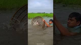 Village Traditional Bamboo Tools Polo fishing video!!(Part-20)#fishing #shorts