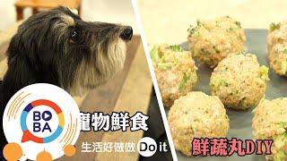 毛小孩超愛!超簡單寵物鮮食DIY【鮮蔬丸】| 生活好做做